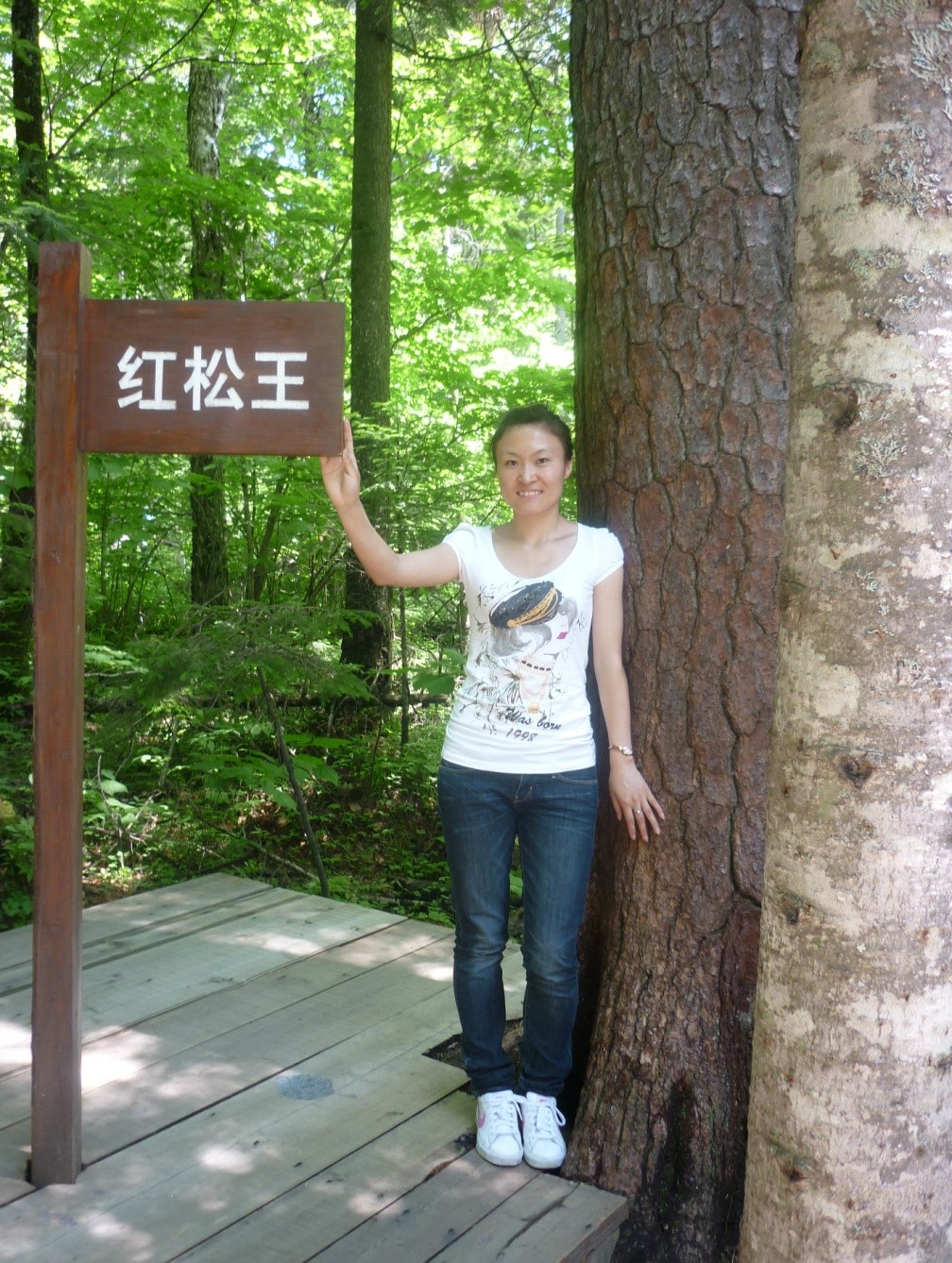 Dr. Yang Li